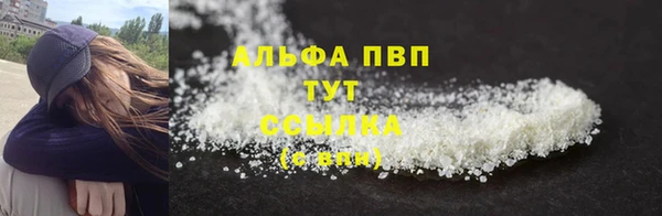 спиды Нефтекумск
