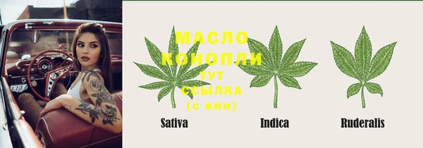спиды Нефтекумск