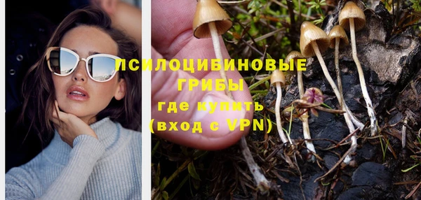 спиды Нефтекумск