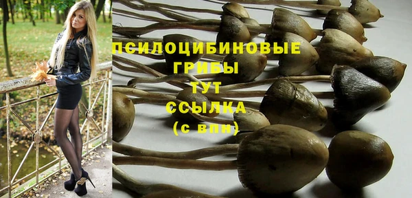 дурь Нефтегорск