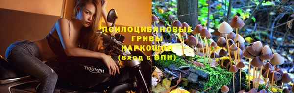 дурь Нефтегорск