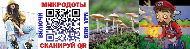 Псилоцибиновые грибы мухоморы  как найти закладки  Серпухов 